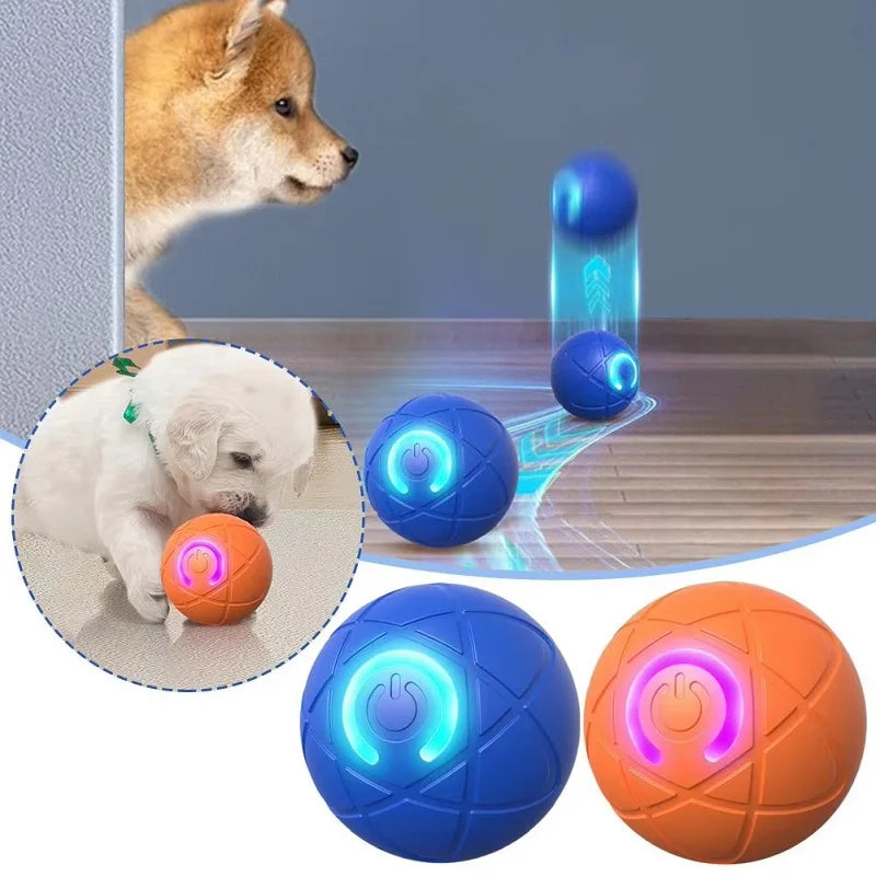 Interactive Auto-Moving Dog Ball