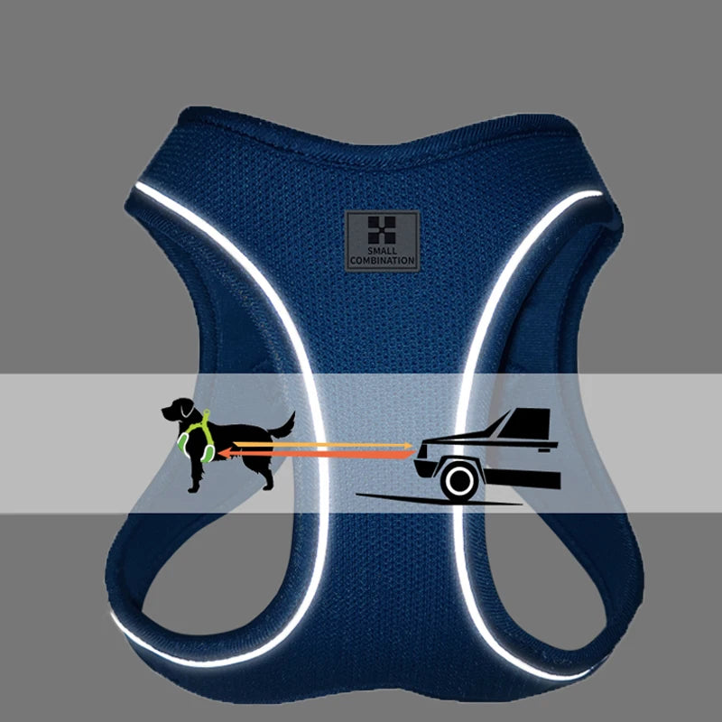Adjustable Reflective Dog Harness & Leash Set