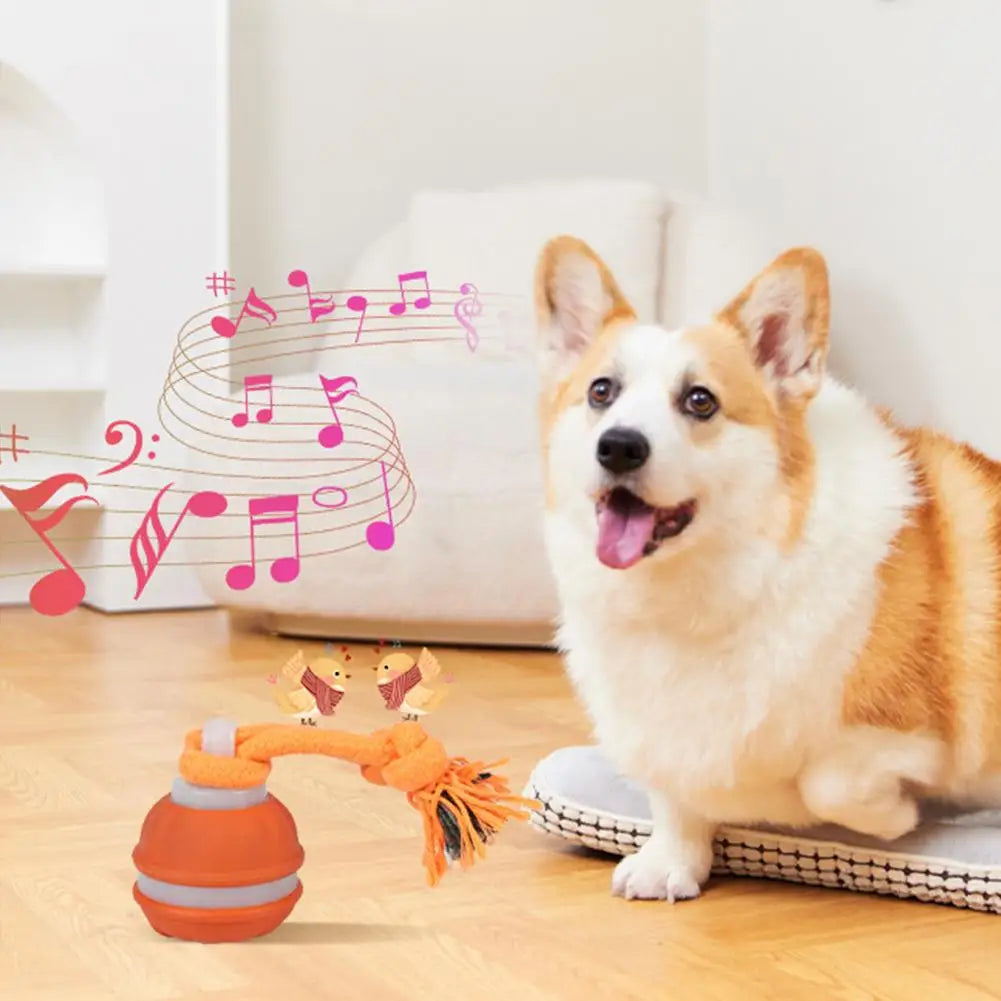 Motion-Activated Rolling Dog Ball