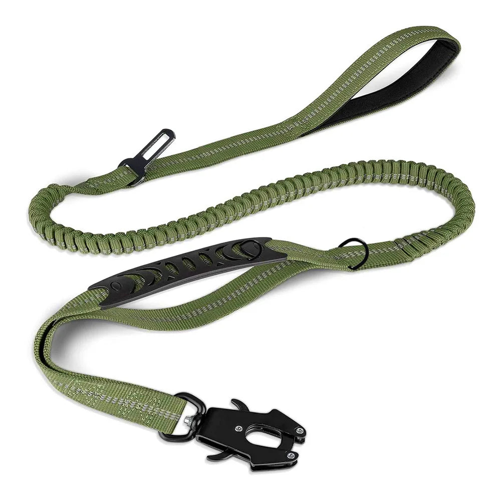 Shock-Absorbing Bungee Dog Leash with Car Seatbelt