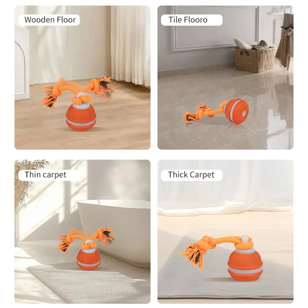 Motion-Activated Rolling Dog Ball