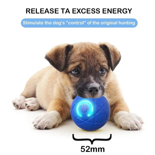 Interactive Auto-Moving Dog Ball