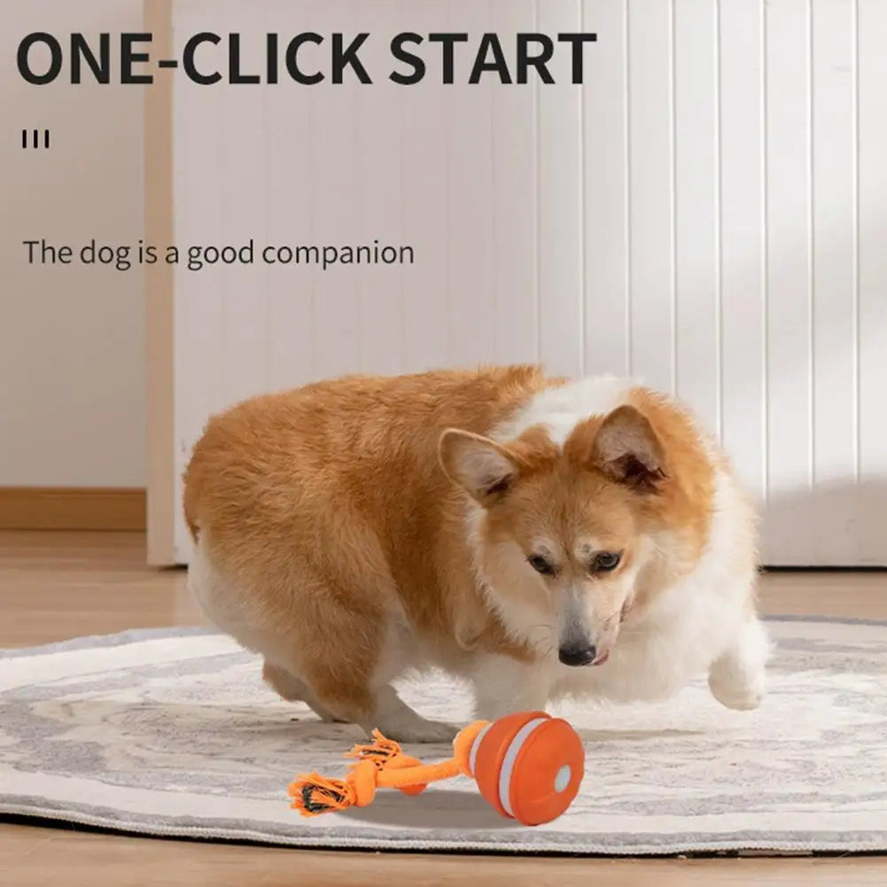 Motion-Activated Rolling Dog Ball