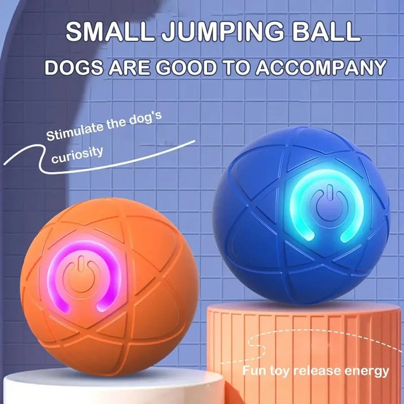 Interactive Auto-Moving Dog Ball