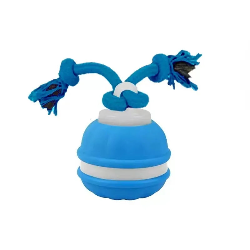 Motion-Activated Rolling Dog Ball