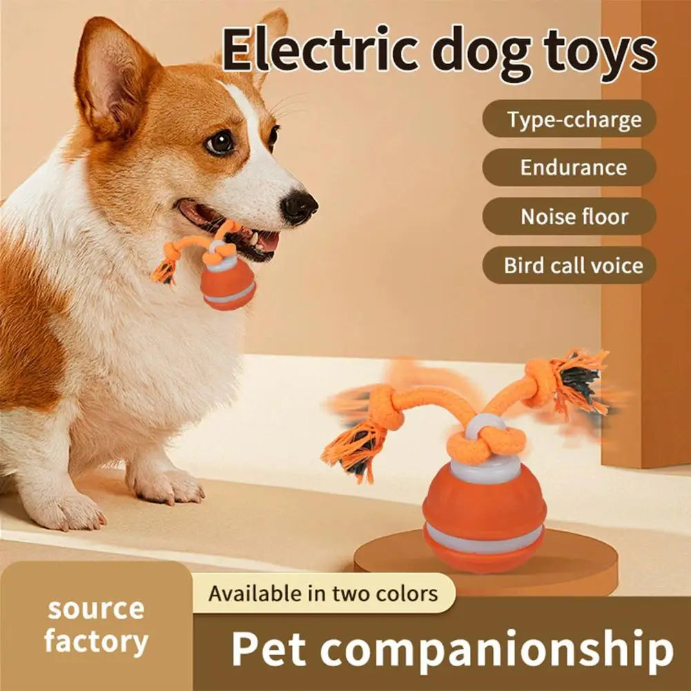 Motion-Activated Rolling Dog Ball