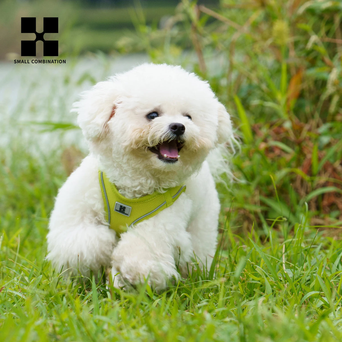 Adjustable Reflective Dog Harness & Leash Set