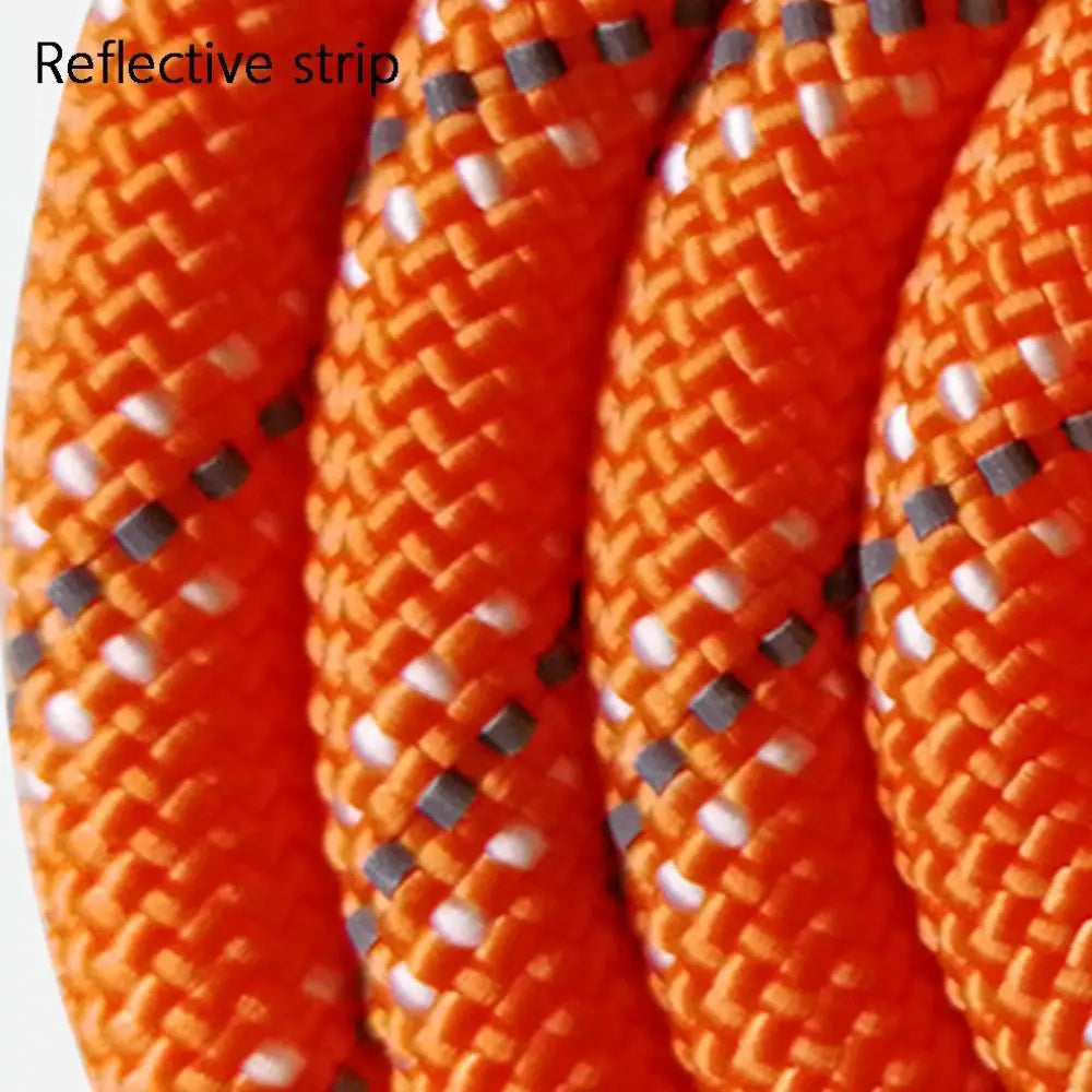 Extended Reflective Training Leash (2m–20m)