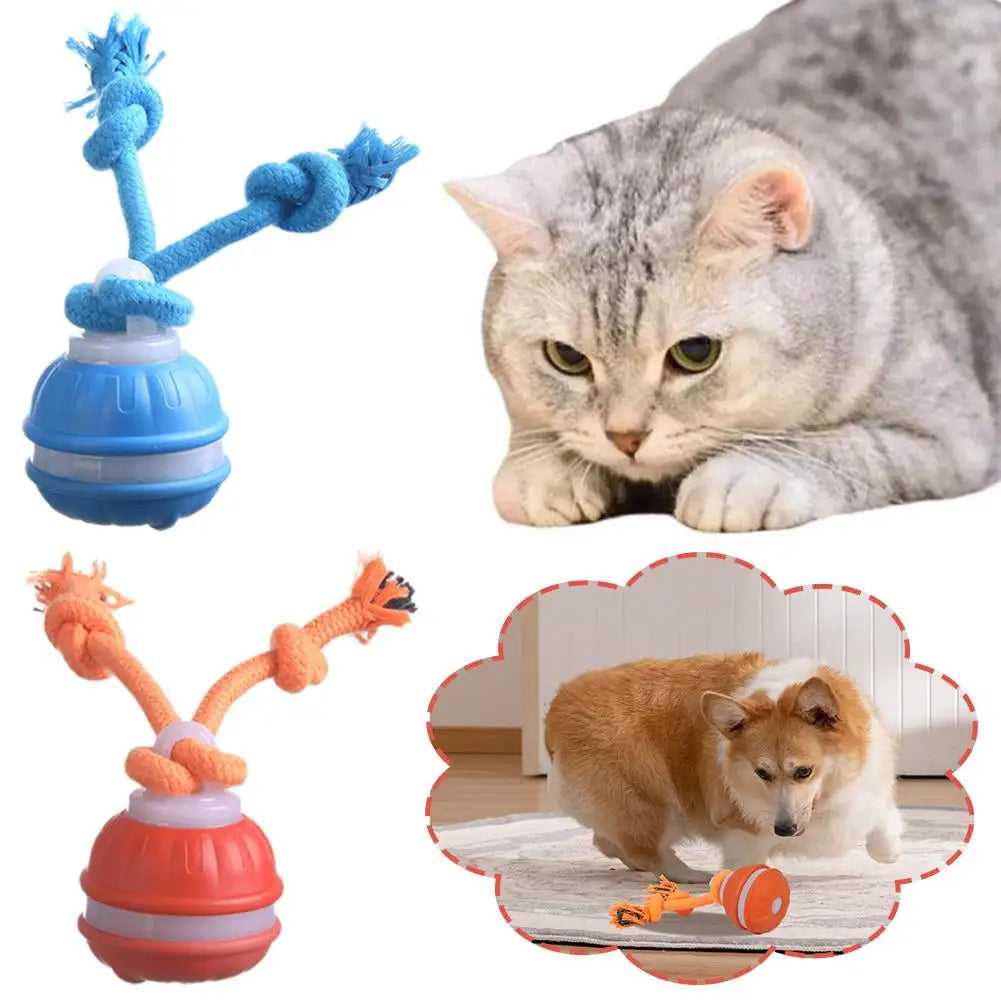 Motion-Activated Rolling Dog Ball
