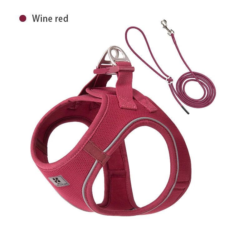 Adjustable Reflective Dog Harness & Leash Set