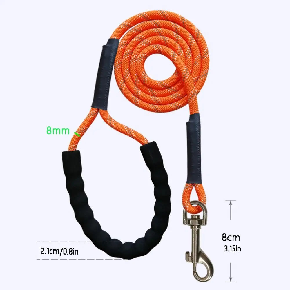 Extended Reflective Training Leash (2m–20m)