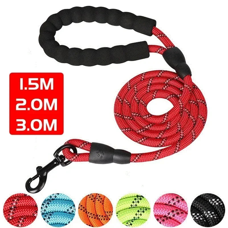 Padded-Handle Reflective Dog Leash