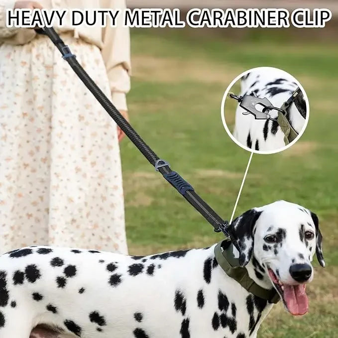 Shock-Absorbing Bungee Dog Leash with Car Seatbelt